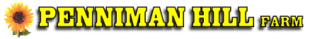MyCuisine Logo